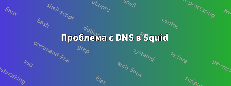 Проблема с DNS в Squid