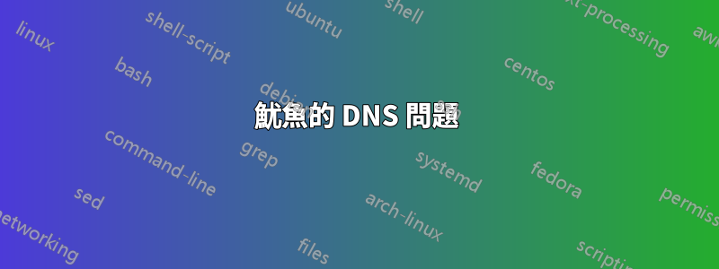 魷魚的 DNS 問題