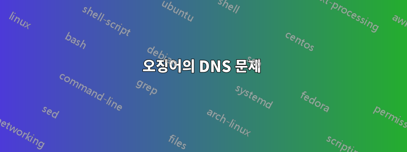 오징어의 DNS 문제