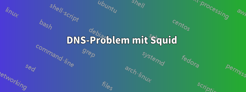 DNS-Problem mit Squid