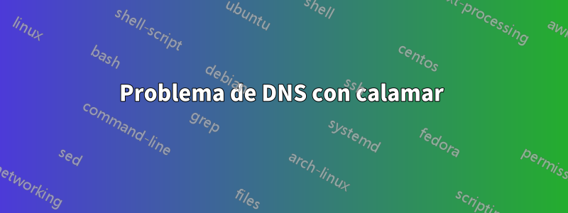 Problema de DNS con calamar