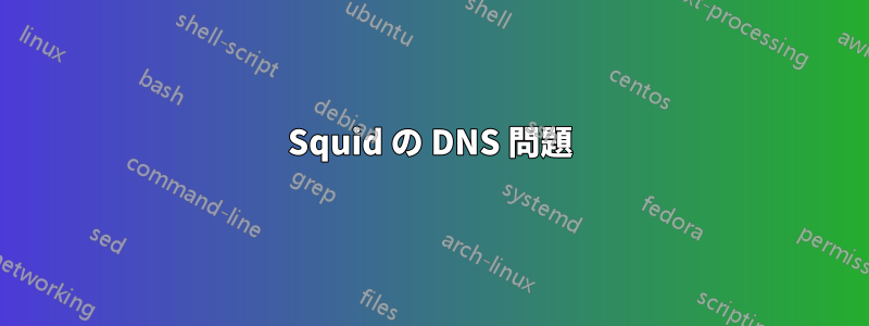 Squid の DNS 問題