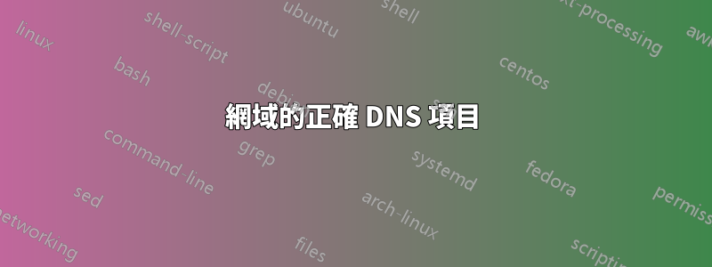 網域的正確 DNS 項目