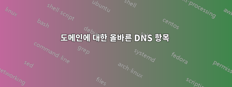 도메인에 대한 올바른 DNS 항목