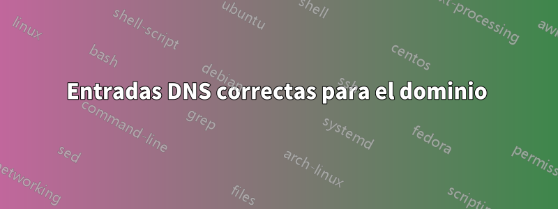 Entradas DNS correctas para el dominio