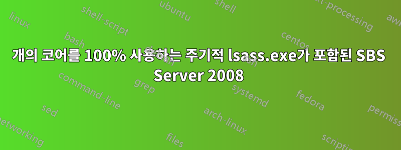 1개의 코어를 100% 사용하는 주기적 lsass.exe가 포함된 SBS Server 2008