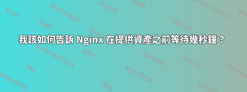 我該如何告訴 Nginx 在提供資產之前等待幾秒鐘？