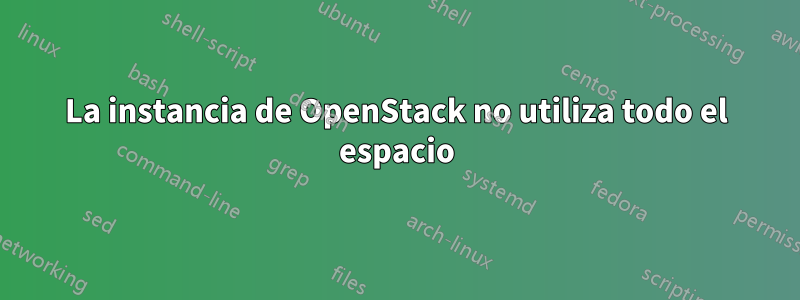 La instancia de OpenStack no utiliza todo el espacio