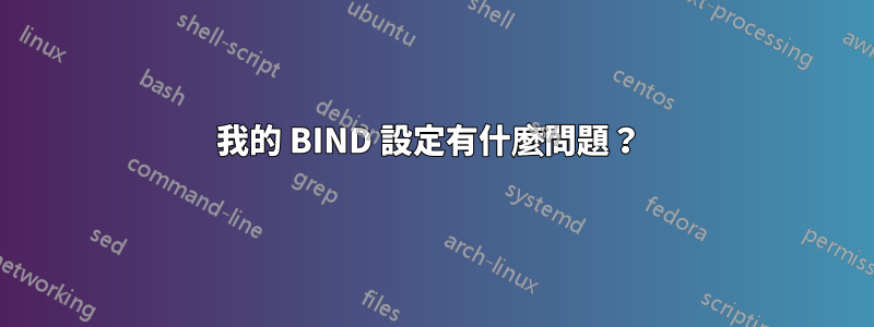 我的 BIND 設定有什麼問題？ 