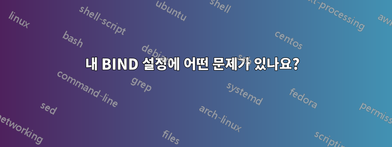 내 BIND 설정에 어떤 문제가 있나요? 