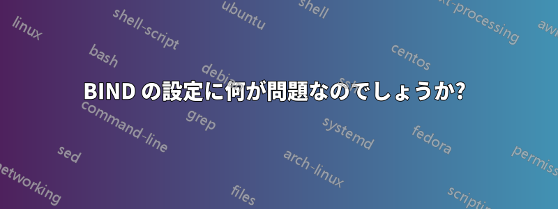 BIND の設定に何が問題なのでしょうか? 