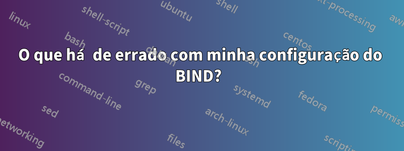 O que há de errado com minha configuração do BIND? 