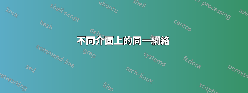 不同介面上的同一網絡