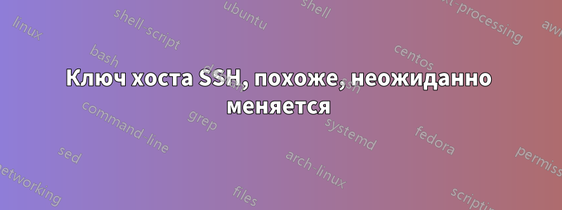 Ключ хоста SSH, похоже, неожиданно меняется