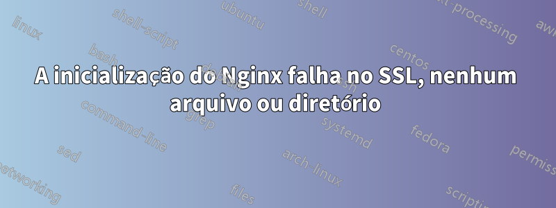 A inicialização do Nginx falha no SSL, nenhum arquivo ou diretório