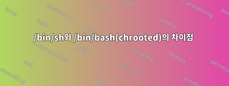 /bin/sh와 /bin/bash(chrooted)의 차이점