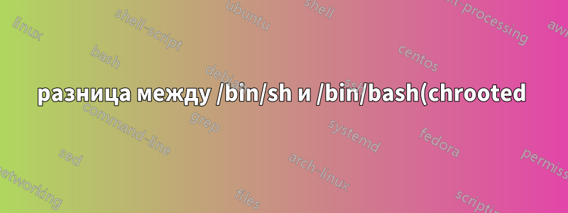 разница между /bin/sh и /bin/bash(chrooted)