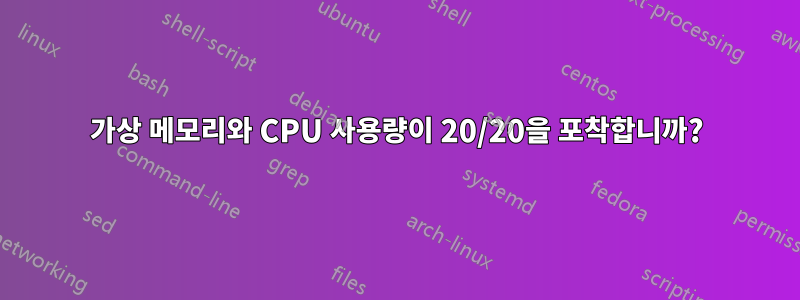 가상 메모리와 CPU 사용량이 20/20을 포착합니까?