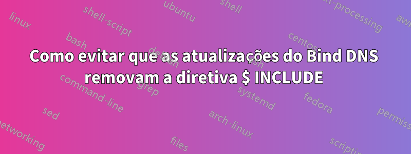 Como evitar que as atualizações do Bind DNS removam a diretiva $ INCLUDE