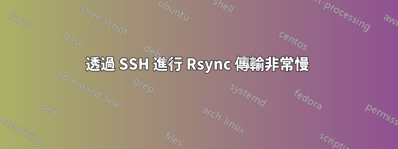 透過 SSH 進行 Rsync 傳輸非常慢