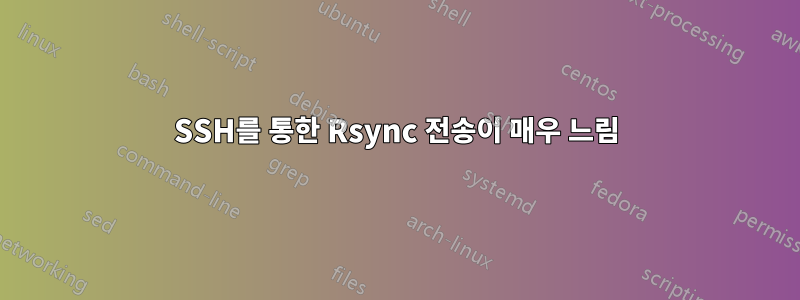 SSH를 통한 Rsync 전송이 매우 느림