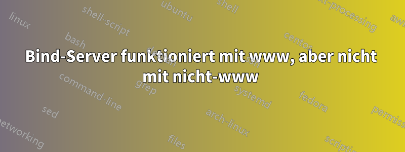 Bind-Server funktioniert mit www, aber nicht mit nicht-www