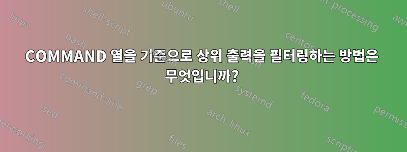 COMMAND 열을 기준으로 상위 출력을 필터링하는 방법은 무엇입니까?