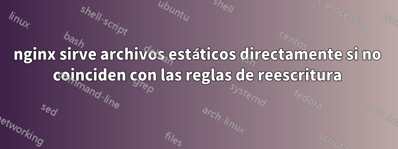 nginx sirve archivos estáticos directamente si no coinciden con las reglas de reescritura