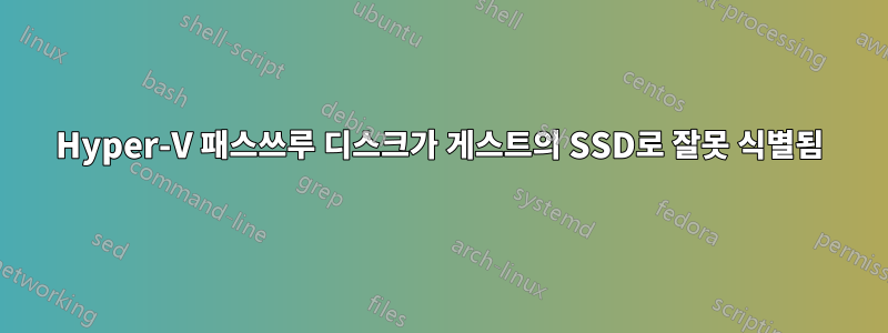 Hyper-V 패스쓰루 디스크가 게스트의 SSD로 잘못 식별됨