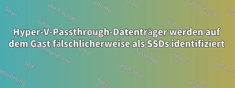 Hyper-V-Passthrough-Datenträger werden auf dem Gast fälschlicherweise als SSDs identifiziert