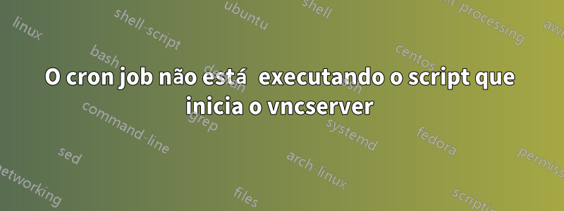 O cron job não está executando o script que inicia o vncserver