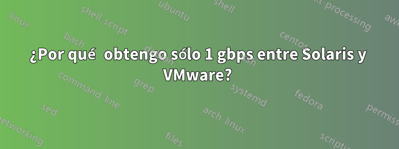 ¿Por qué obtengo sólo 1 gbps entre Solaris y VMware?