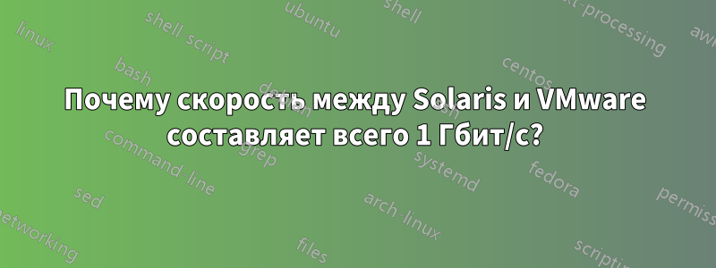 Почему скорость между Solaris и VMware составляет всего 1 Гбит/с?