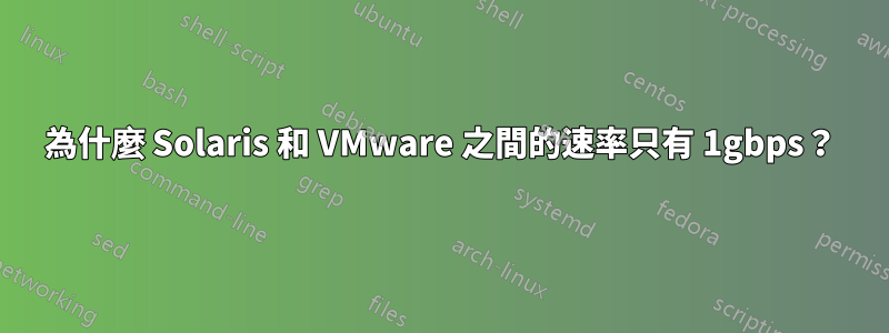 為什麼 Solaris 和 VMware 之間的速率只有 1gbps？