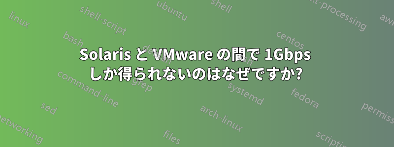 Solaris と VMware の間で 1Gbps しか得られないのはなぜですか?