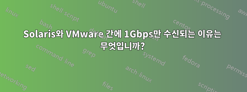 Solaris와 VMware 간에 1Gbps만 수신되는 이유는 무엇입니까?