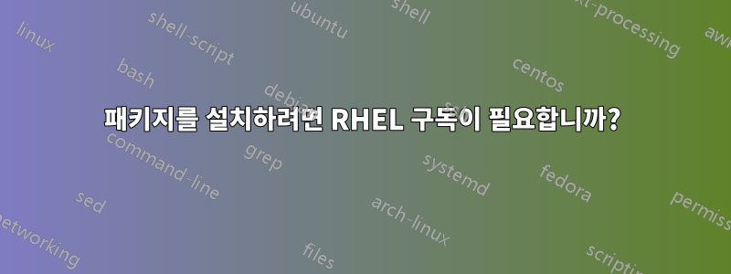 패키지를 설치하려면 RHEL 구독이 필요합니까?