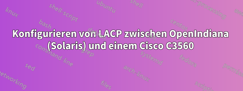 Konfigurieren von LACP zwischen OpenIndiana (Solaris) und einem Cisco C3560