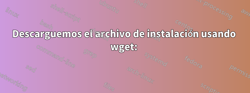 Descarguemos el archivo de instalación usando wget: