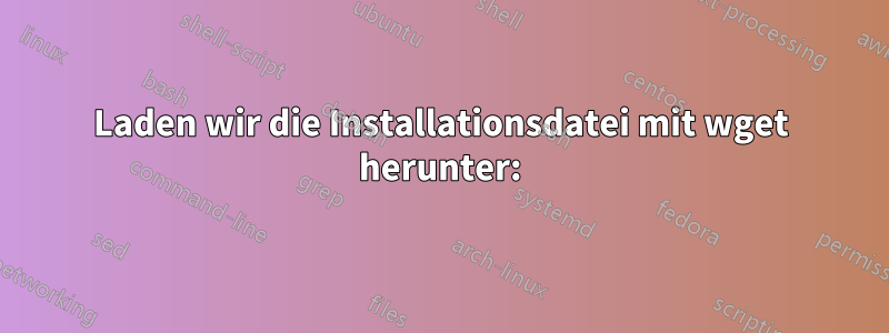 Laden wir die Installationsdatei mit wget herunter: