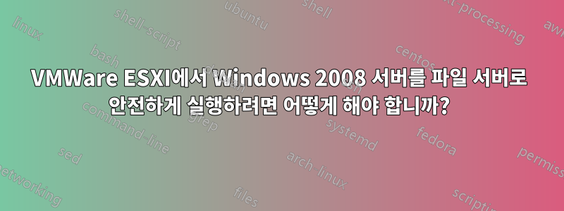 VMWare ESXI에서 Windows 2008 서버를 파일 서버로 안전하게 실행하려면 어떻게 해야 합니까?