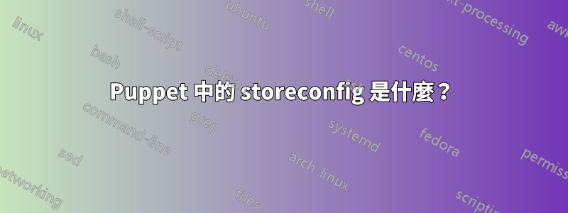 Puppet 中的 storeconfig 是什麼？