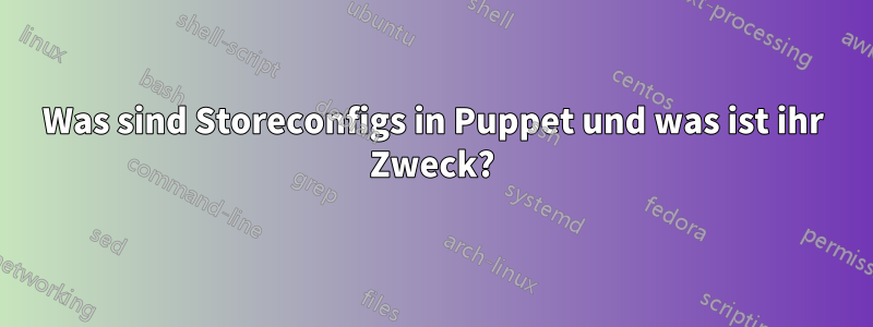 Was sind Storeconfigs in Puppet und was ist ihr Zweck?