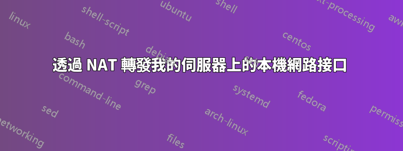 透過 NAT 轉發我的伺服器上的本機網路接口