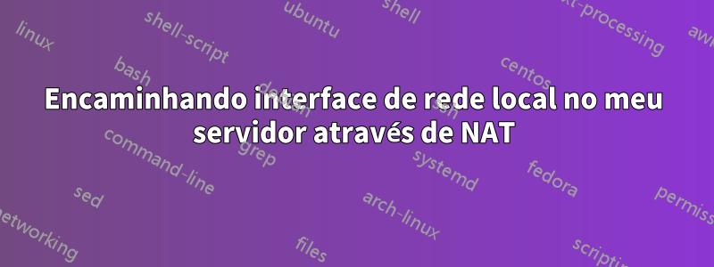 Encaminhando interface de rede local no meu servidor através de NAT