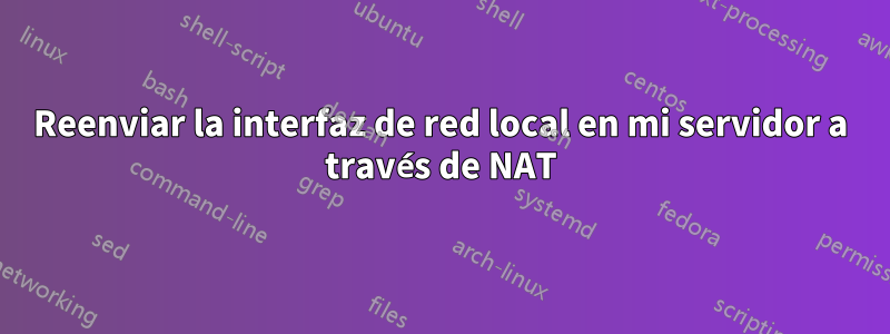 Reenviar la interfaz de red local en mi servidor a través de NAT