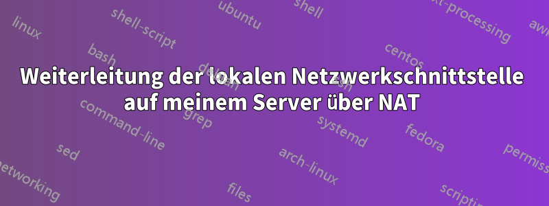 Weiterleitung der lokalen Netzwerkschnittstelle auf meinem Server über NAT