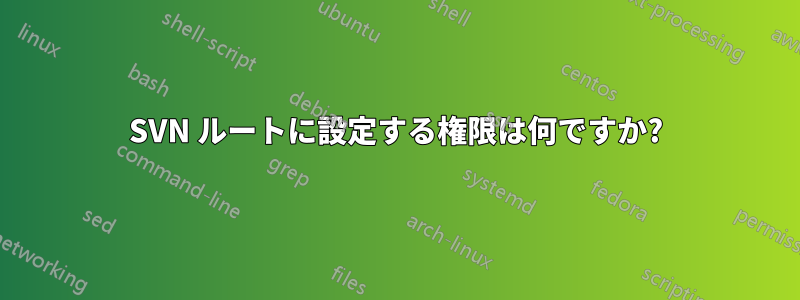 SVN ルートに設定する権限は何ですか?