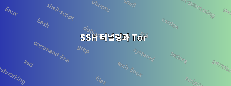 SSH 터널링과 Tor 