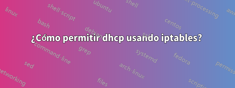 ¿Cómo permitir dhcp usando iptables?